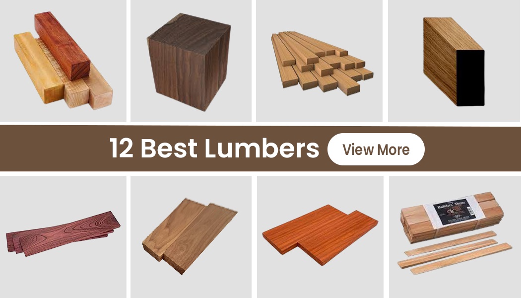 12 Best Lumbers For 2023
