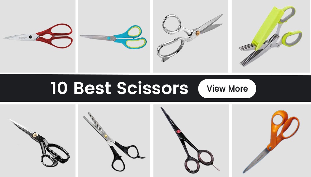 10 Best Scissors For 2023